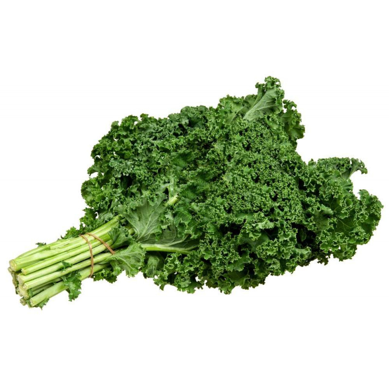 Couve Kale Orgânica Couve Kale Orgânica